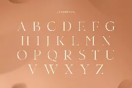 Roaster - Stylish Elegant Font