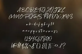 Destomed Handwritten Font