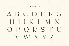 Big Bang - Feminine Elegant Serif font