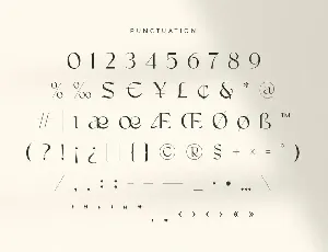 Big Bang - Feminine Elegant Serif font