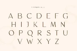 Magnificent - Modern Feminine Vintage Font