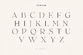 Calista - Classy Elegant Font