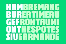 Brodaers Font Family