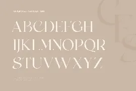 gemonica - experimental serif font