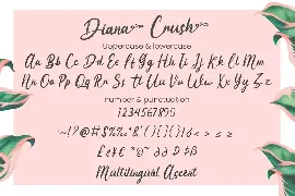 Diana Crush - Wedding Font