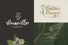 Wellytonia Package font