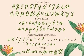 Shymptany font