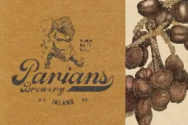 Wanlaners - Vintage Script font