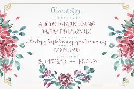 Shanela - Romantic Modern Script Font