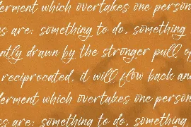 Rieldstomy Madison Handwritten Brush Signature font