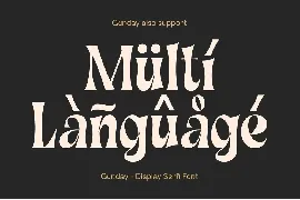 Gunday - Display Serif Font