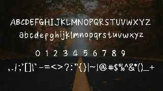 Double Smart Font