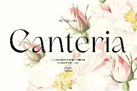 Canteria - Classic Display Serif font