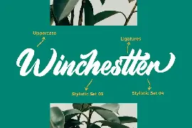 Aimchestar - Script Font