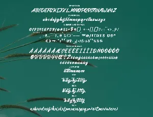 Aimchestar - Script Font