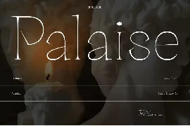 Palaise - Display Serif Typeface font