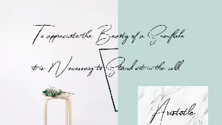 Winterfellia - Handwritten Font