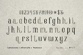 Vionla - Serif Condensed Display Font