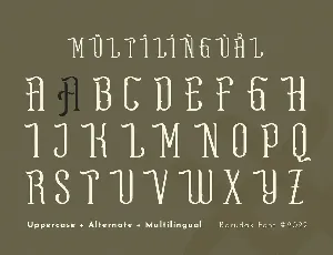 Vionla - Serif Condensed Display Font