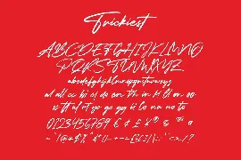 Trickiest Signature Font