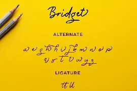 Bridget Monoline Script Font