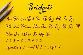 Bridget Monoline Script Font