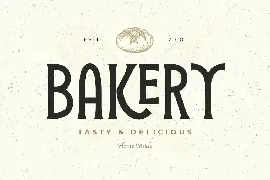 Stylish Serif - Ligature Retro Vintage Serif font