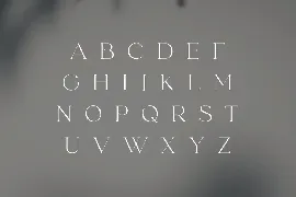 fonde - elegant chic font