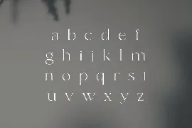 fonde - elegant chic font