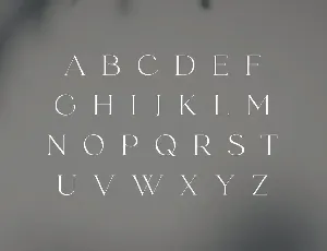 fonde - elegant chic font