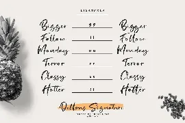 Dellons Singature-Elegant Brush Font