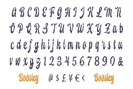 Boosley - Display Script font