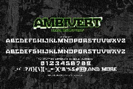 AMBIVERT - Rough Display Font