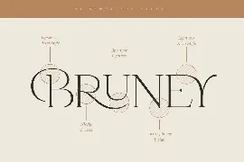 Bruney - Classy Ligature Font