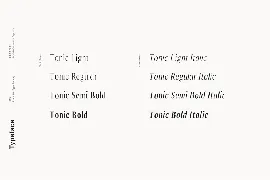 Tonic - Luxurious Serif Typeface font