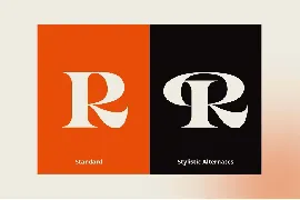 Rayken - Stylish Serif Font