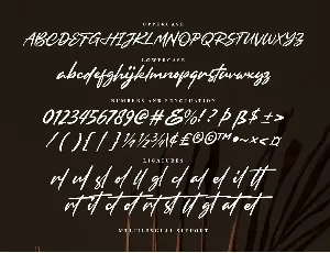 Browellay Synthya - Signature font