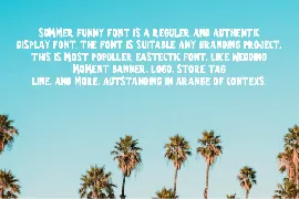 Summer Funny - Summer Display Font