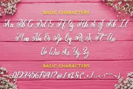 Script Font