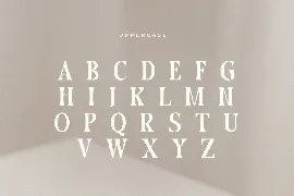 Ariana - Modern Vintage Display Serif font