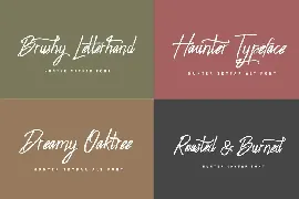 Hunter Skyfar - Dry Brush Script font