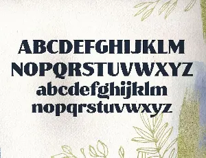 Muray House Standard font