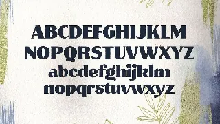 Muray House Standard font