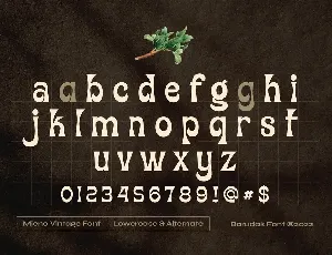 Mieno - Serif Display Font