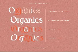 Quanta La Oranj Vintage Serif Font