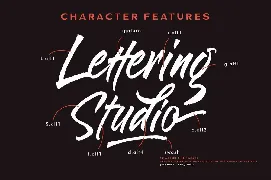 Blakestone - Hand drawn Brush font