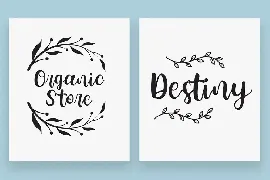 Feminine Curvy Script Font