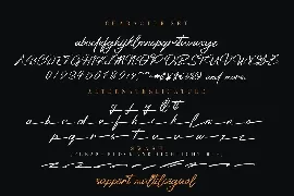 Platinum Signature font