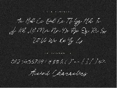 Blackswan Signature Font