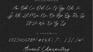 Blackswan Signature Font